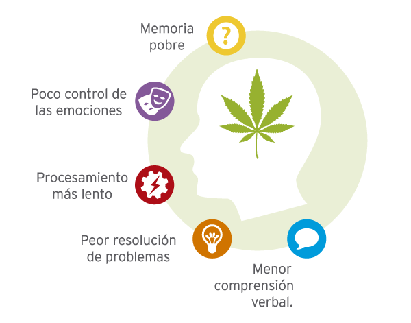 Los riesgos de fumar marihuana: estudio revela efectos negativos del  cannabis - Salud 