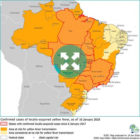 Fiebre amarilla: información y recomendaciones para los viajeros