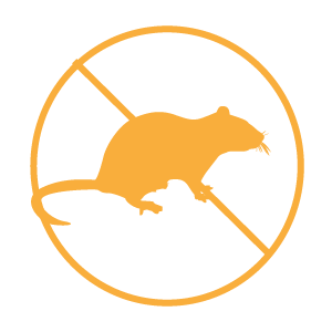 icono-de-caida